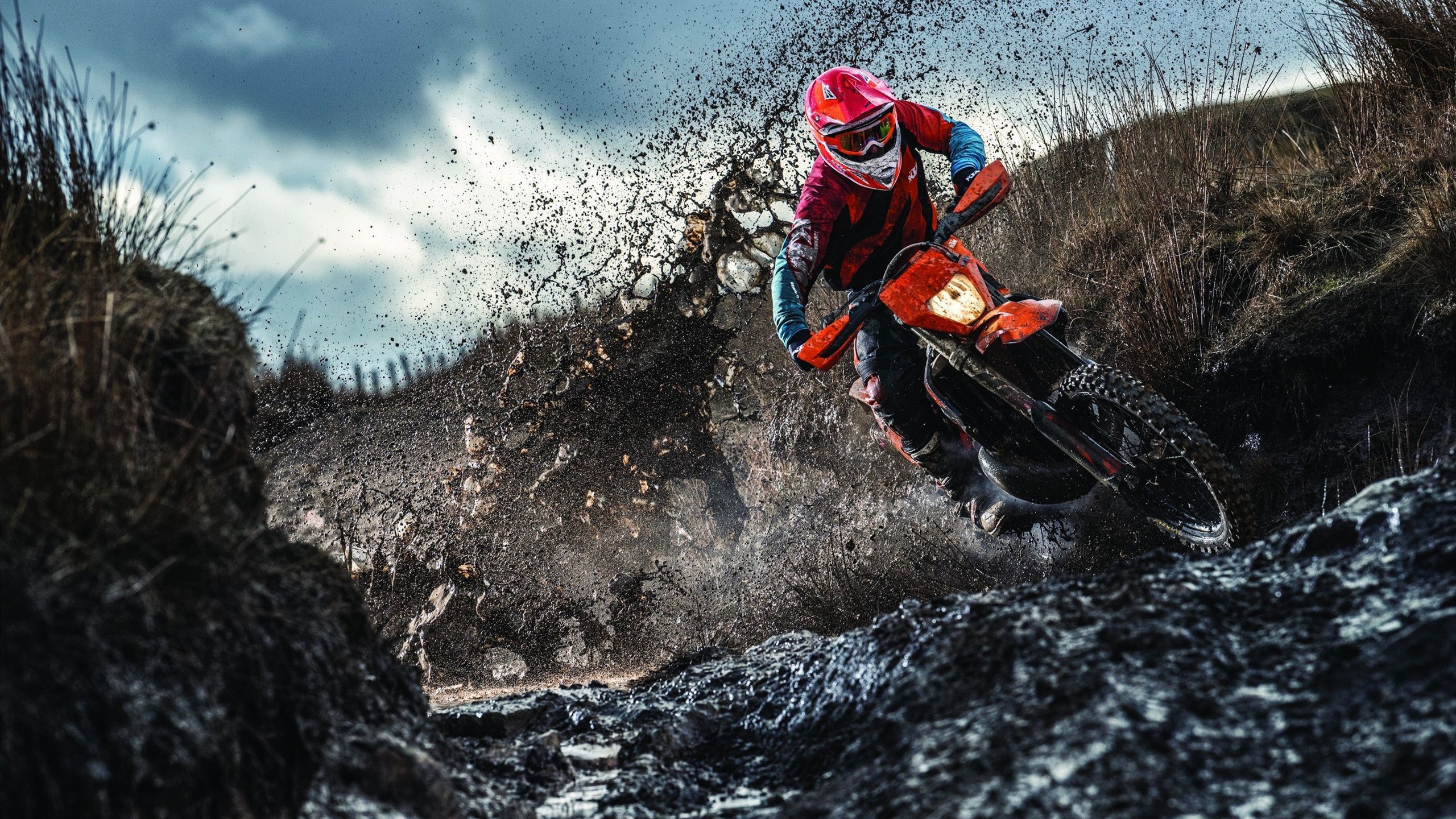 教练团队职业发展路径进入政策支持范围，教练员自我发展规划